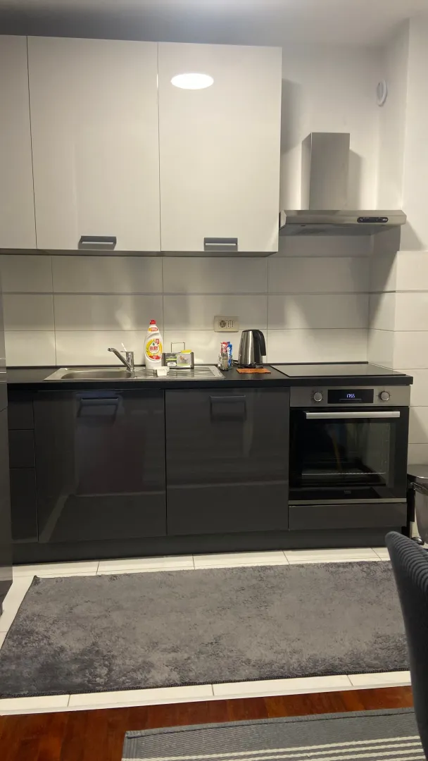 Rent, one bedroom apartment, 47m², Stari Aerodrom, Podgorica