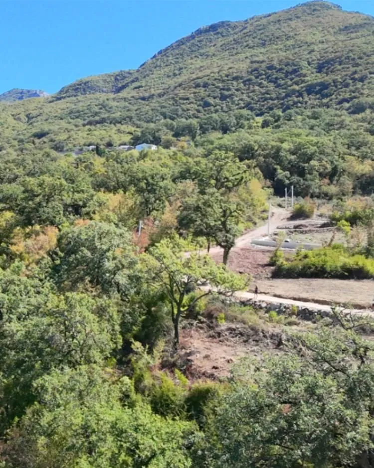 Prodaja, plac, 3735m², Župci, Bar