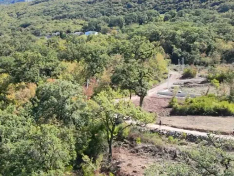 Sale, land lot, 3735m², Župci, Bar - image 4