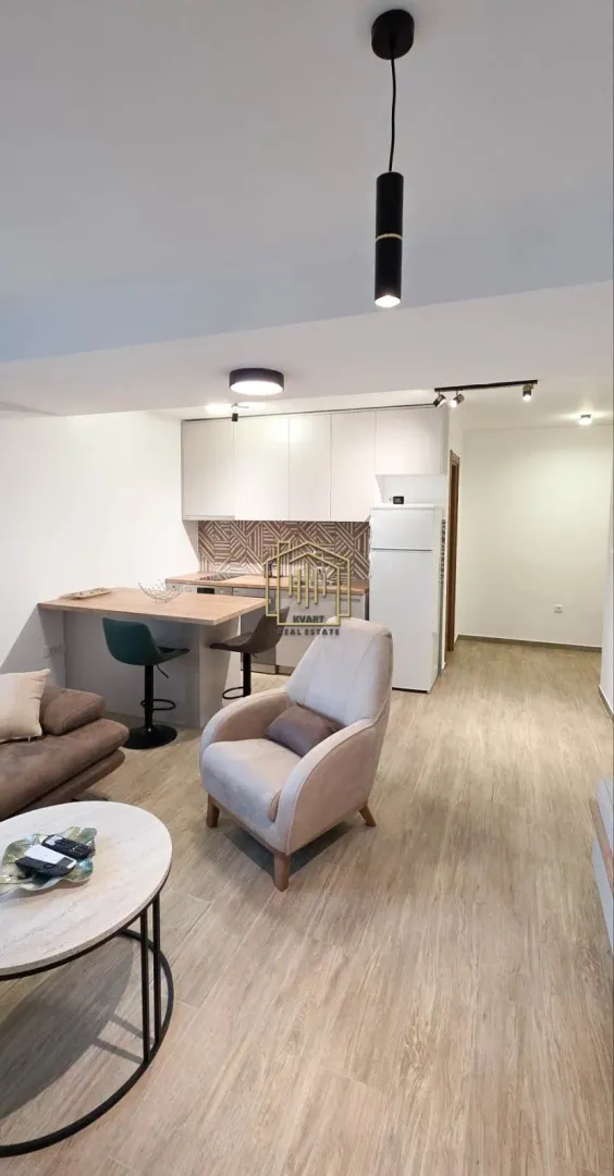 Living room connected with the kitchen and dining bar.