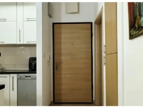 Izdavanje, jednosoban stan, 42m², Ljubović, Podgorica - image 8