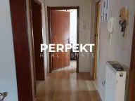 Prodaja, kuća, 404m², Strelište, Pančevo - image 10