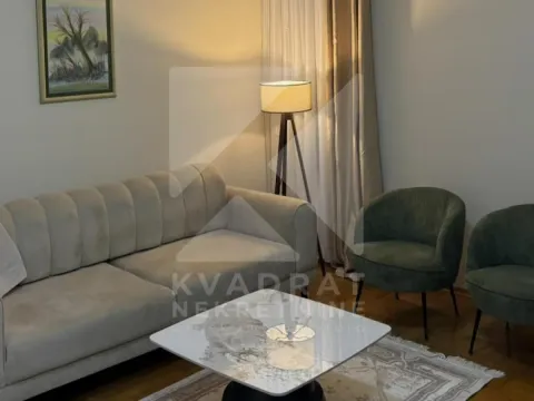 Izdavanje, jednosoban stan, 47m², Krivi Most, Podgorica - image 2