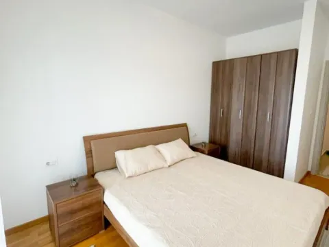 Izdavanje, jednosoban stan, 50m², Stari Aerodrom, Podgorica - image 7