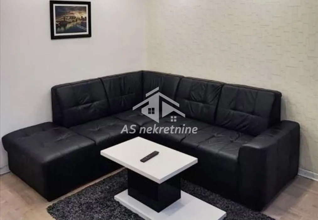 Rent, two bedroom apartment, 42m², Vračar Sve Podlokacije, Beograd