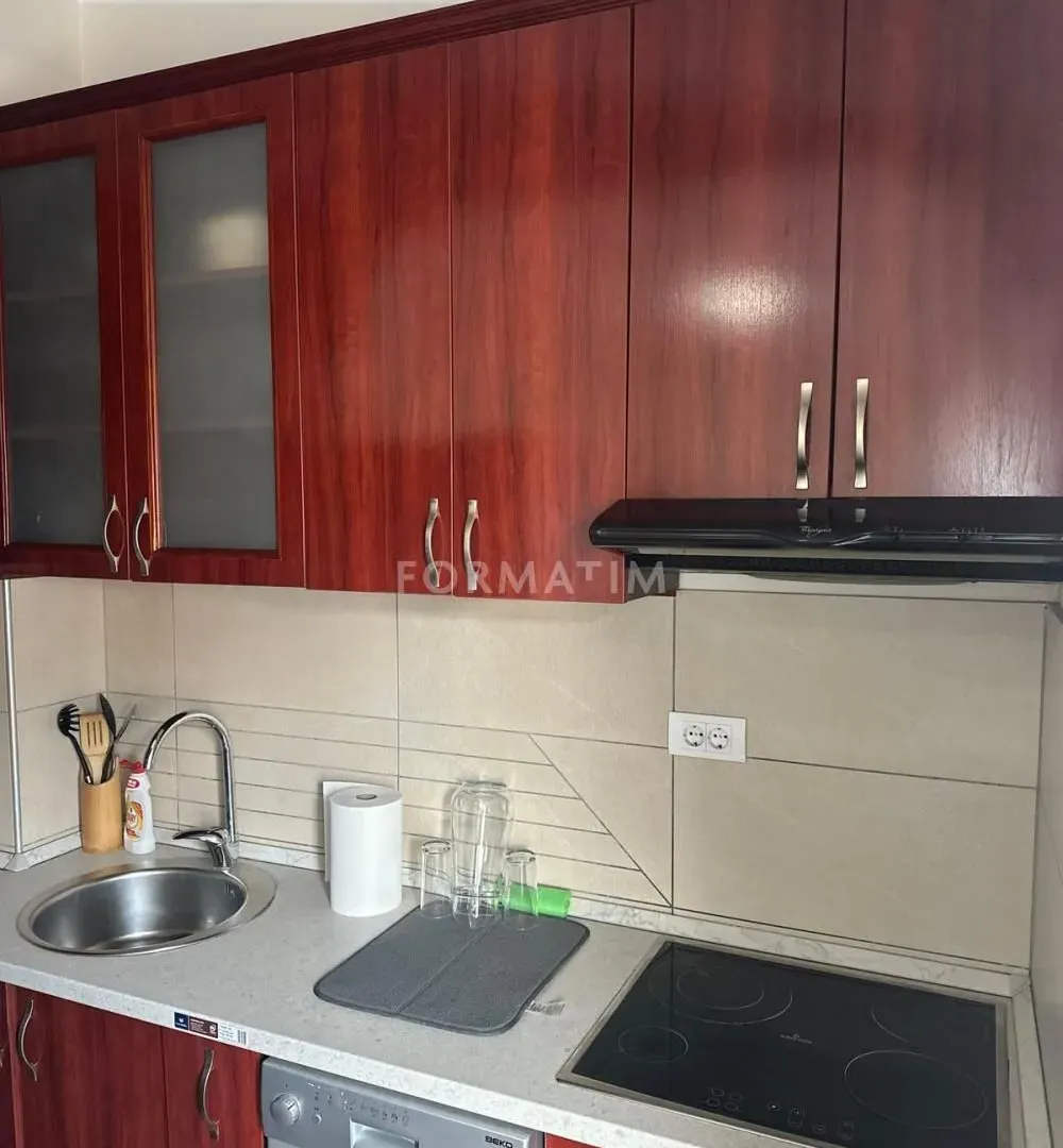 Izdavanje, jednosoban stan, 48m², Vukov Spomenik, Zvezdara Sve Podlokacije