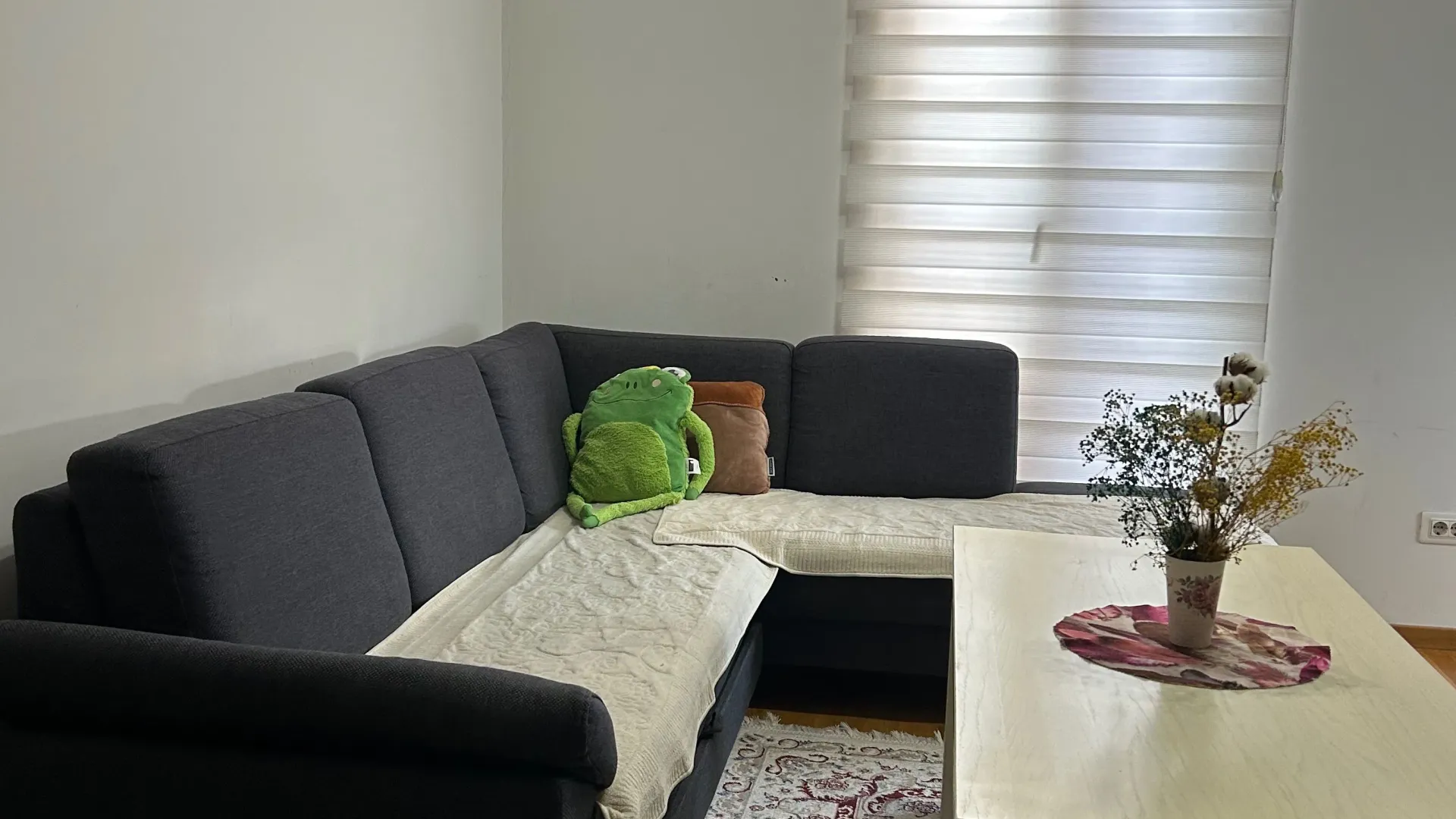 Rent, one bedroom apartment, 48m², Stari Aerodrom, Podgorica