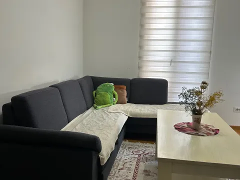 Rent, one bedroom apartment, 48m², Stari Aerodrom, Podgorica - image 3