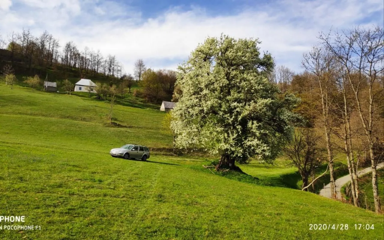 Prodaja, plac, 30905m², Mojkovac, Crna Gora