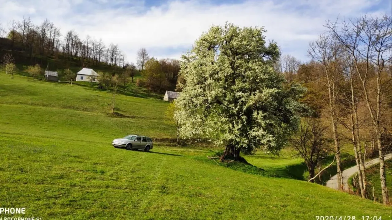 Prodaja, plac, 30905m², Mojkovac, Crna Gora