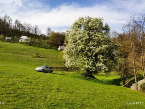 Zemljište in Mojkovac