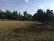 Prodaja, kuća, 49m², Obrež, Pećinci - image 12