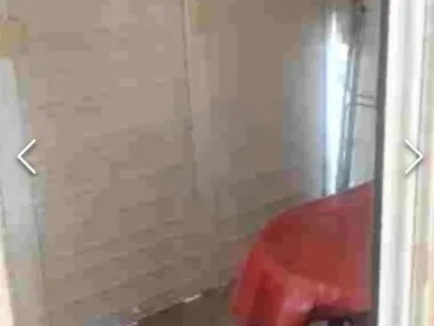 Izdavanje, dvosoban stan, 63m², Beočin, Srbija - image 4