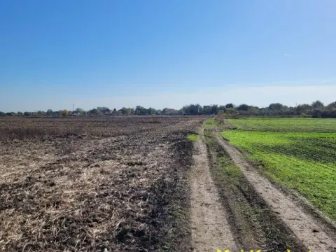 Prodaja, plac, 329m², Jakovo, Surčin - image 3