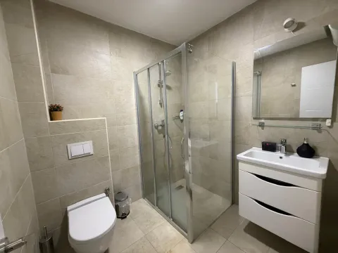 Modern bathroom equipped with a shower enclosure, washbasin, and toilet. - image 9
