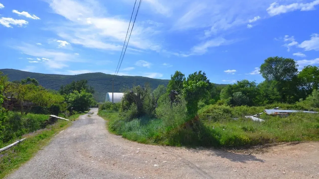 Prodaja, plac, 1600m², Lastva Grbaljska, Kotor