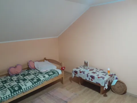 Sale, house, 260m², Čurug, Žabalj - image 11