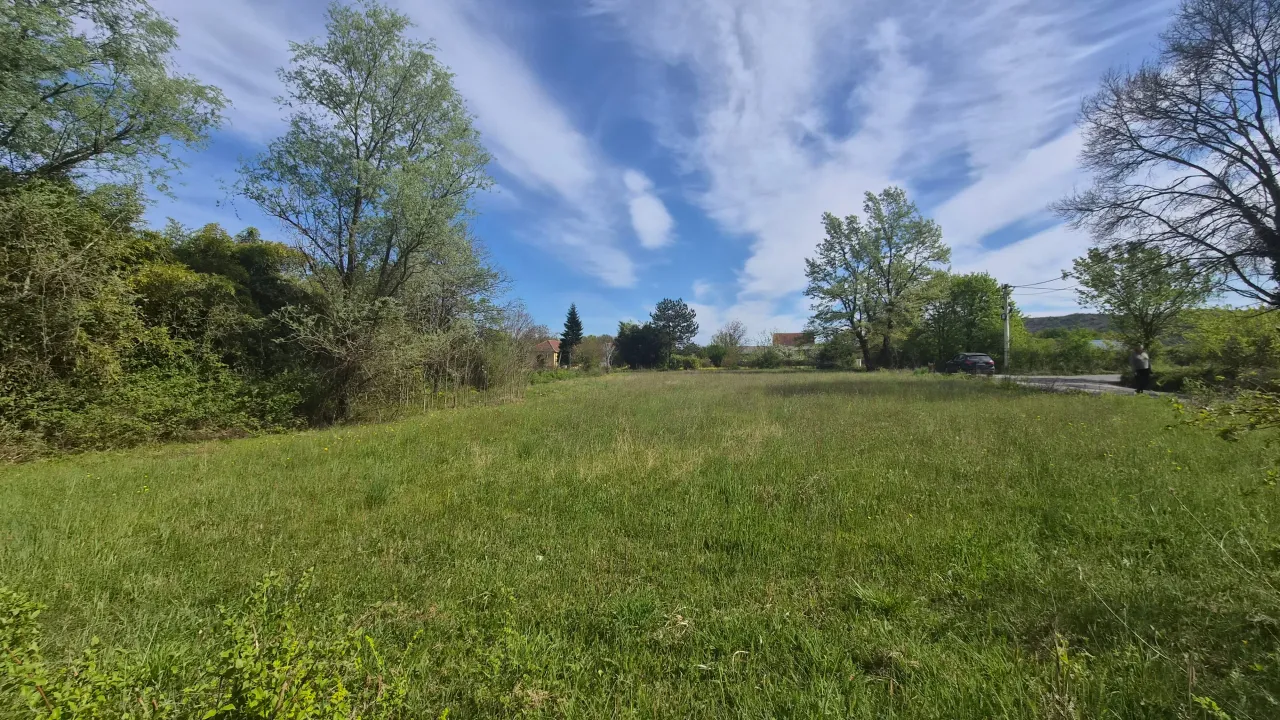 Sale, land lot, 2000m², Ćurilac, Danilovgrad