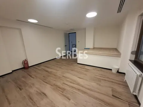 Izdavanje, poslovni prostor, 314m², Liman 3, Novi Sad Sve Podlokacije - image 11