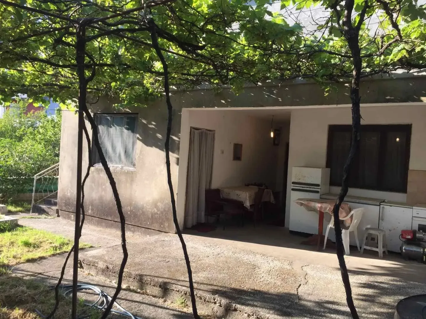 Yard of a house with a covered terrace and grapevines.