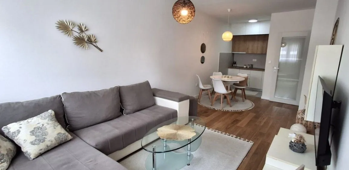 Rent, one bedroom apartment, 47m², Central Point, Podgorica