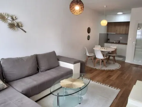 Rent, one bedroom apartment, 47m², Central Point, Podgorica - image 10