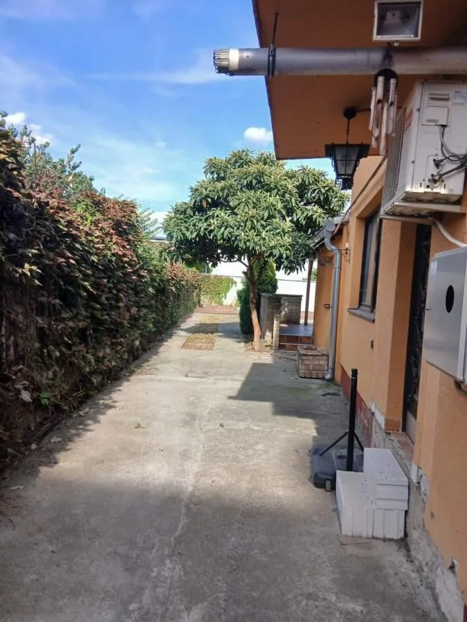 Bočni deo dvorišta sa stazom i zelenilom pored kuće.