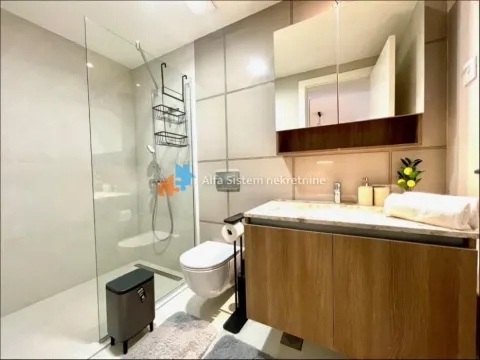 Izdavanje, dvosoban stan, 60m², Savski Venac, Beograd - image 15