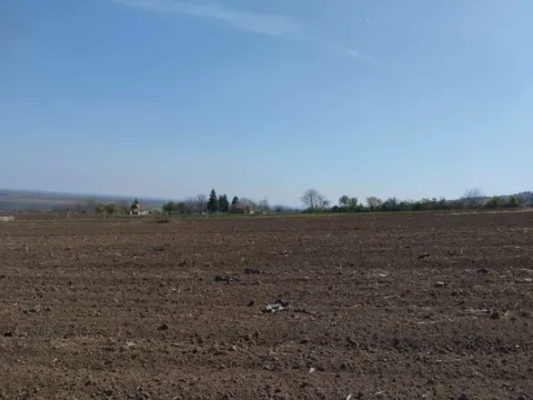 Prodaja, plac, 1235m², Novi Slankamen, Inđija - image 9