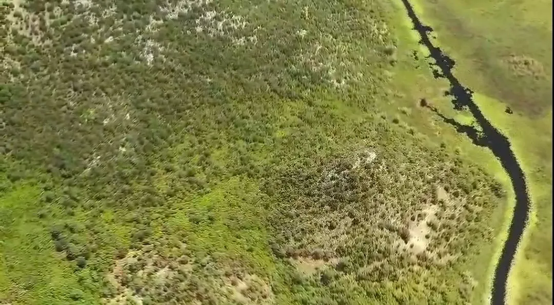 Prodaja, plac, 46000m², Cetinje, Crna Gora