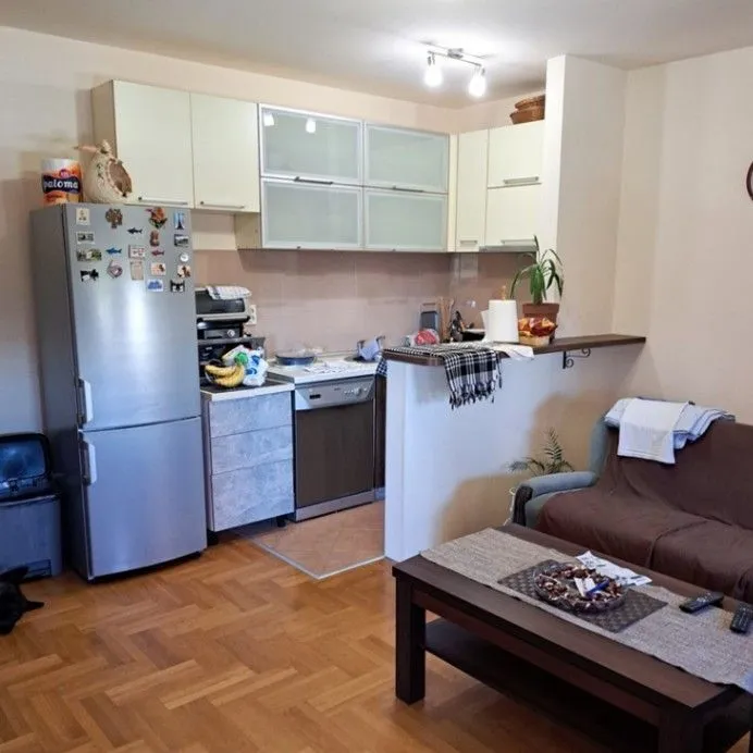 Prodaja, jednosoban stan, 48m², Zabjelo, Podgorica