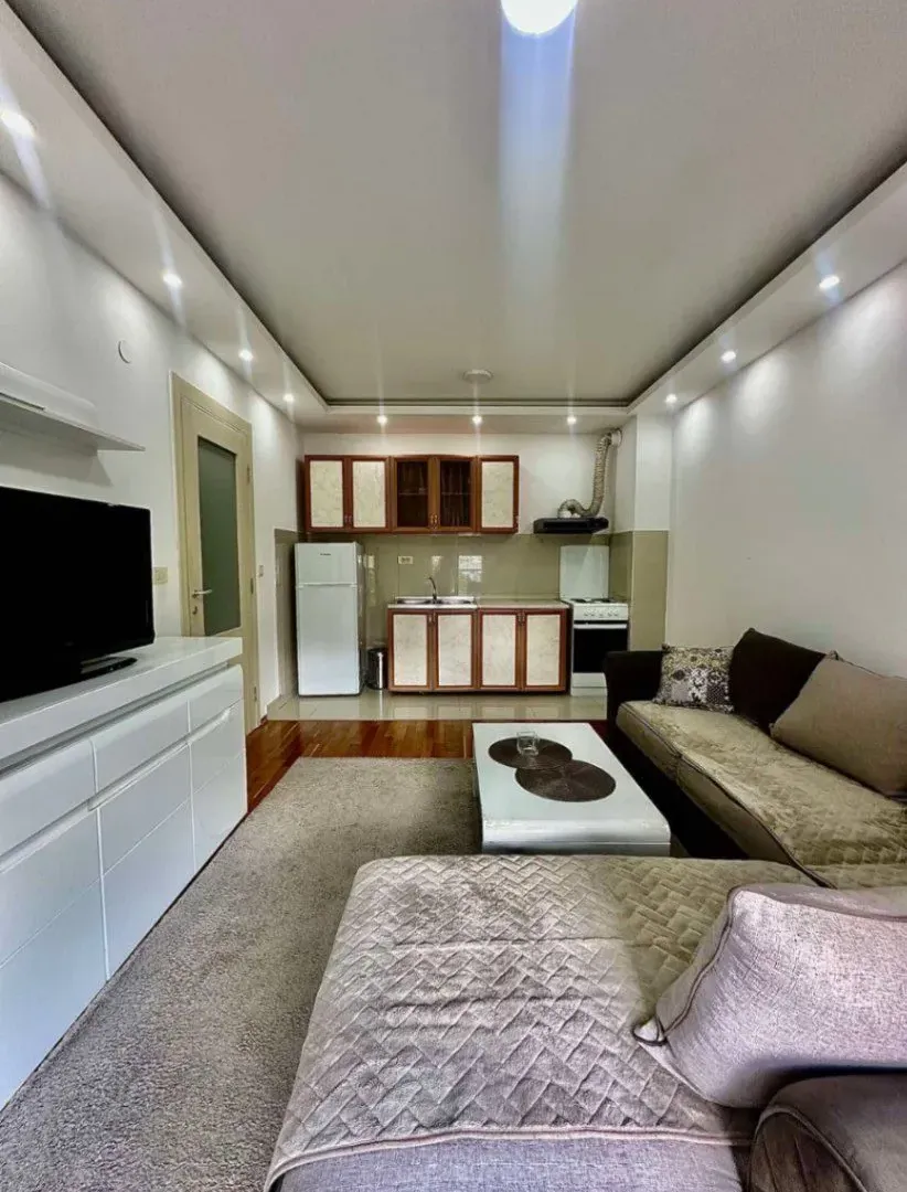 Izdavanje, jednosoban stan, 45m², Zabjelo, Podgorica