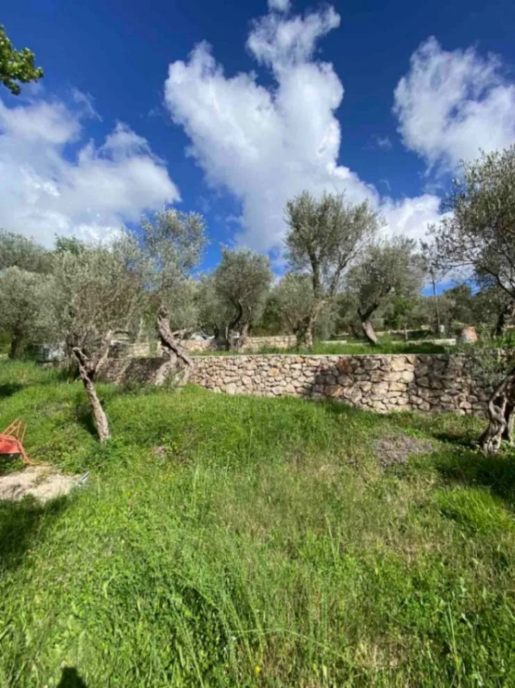 Prodaja, plac, 1000m², Bjeliši, Bar