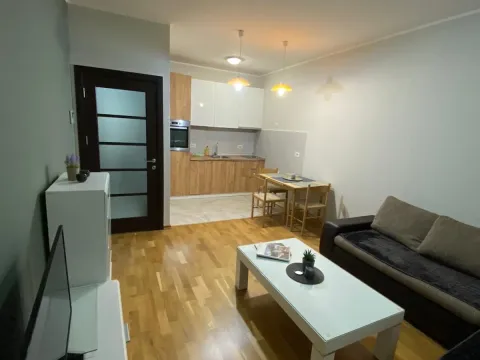 Izdavanje, jednosoban stan, 43m², Zabjelo, Podgorica - image 4
