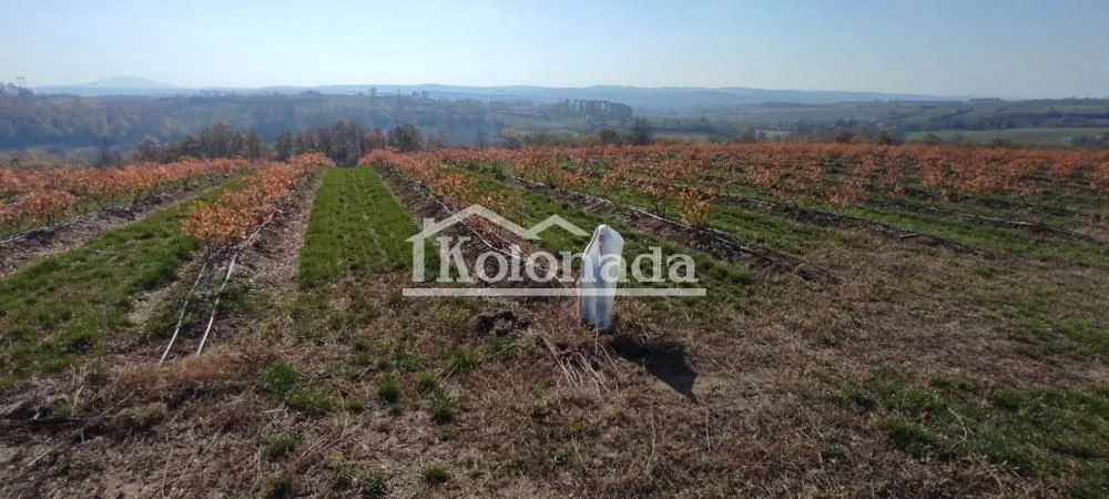Prodaja, plac, 40100m², Sopot, Beograd