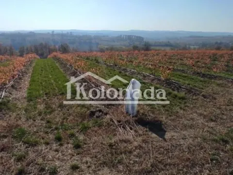 Prodaja, plac, 40100m², Sopot, Beograd - image 2