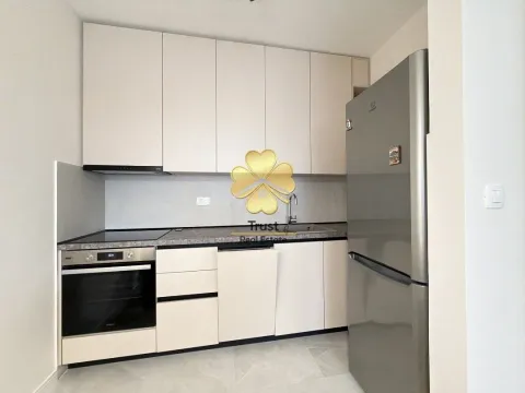 Izdavanje, jednosoban stan, 50m², Central Point, Podgorica - image 6