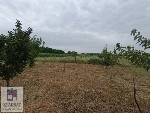 Pogled na zeleno dvorište i voćnjak sa travnatom površinom. - image 13