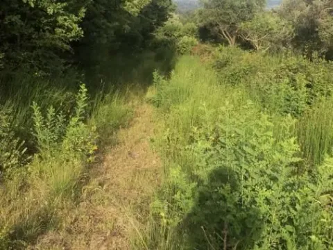 Sale, land lot, 18900m², Velja Gorana, Bar - image 4