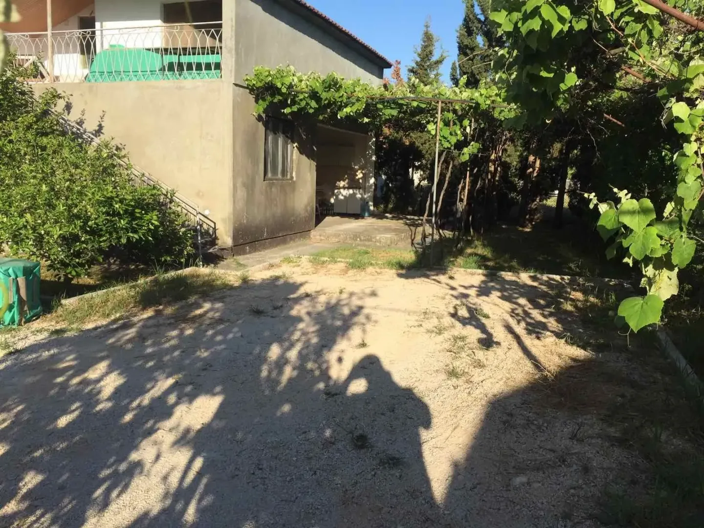 House yard with greenery and a vine canopy.