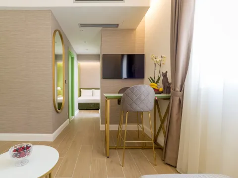 Prodaja, ugostiteljski objekat, 317m², Budva, Crna Gora - image 17