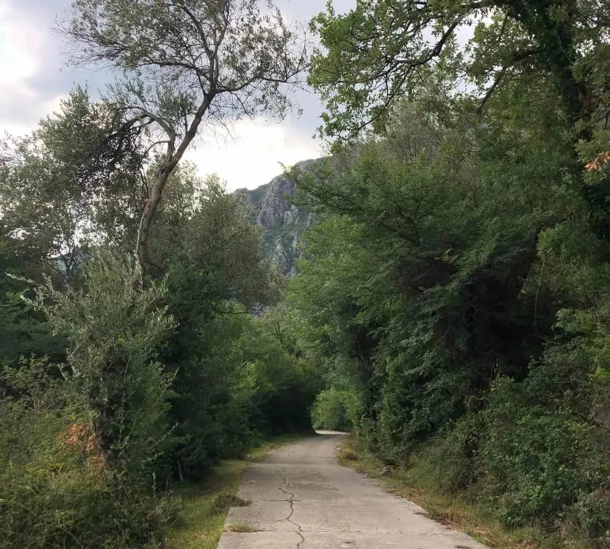 Prodaja, plac, 610m², Sasovići, Herceg Novi