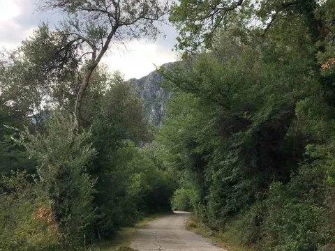 Prodaja, plac, 610m², Sasovići, Herceg Novi - image 4