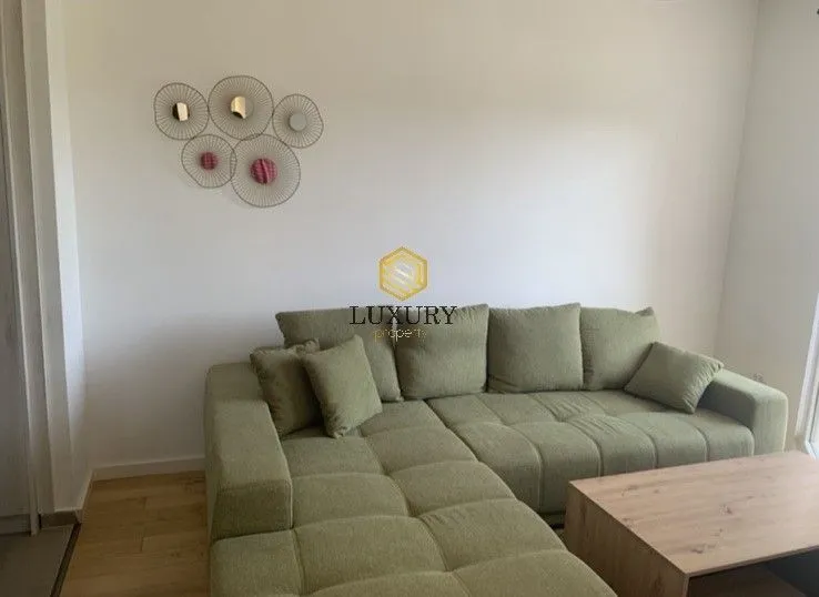 Izdavanje, jednosoban stan, 42m², Centar, Podgorica