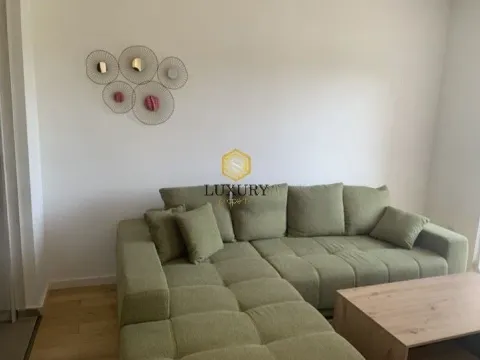 Izdavanje, jednosoban stan, 42m², Centar, Podgorica - image 9