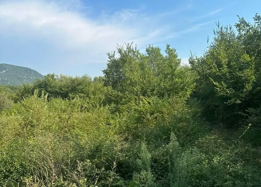 Prodaja, plac, 1100m², Kotor, Crna Gora