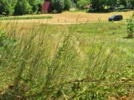 Sale, land lot, 1521m², Crkvine, Kolašin - image 2