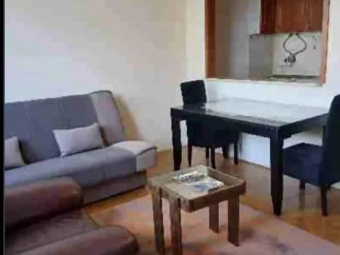 Izdavanje, dvosoban stan, 52m², Bulevar Oslobodjenja, Novi Sad Sve Podlokacije - image 2