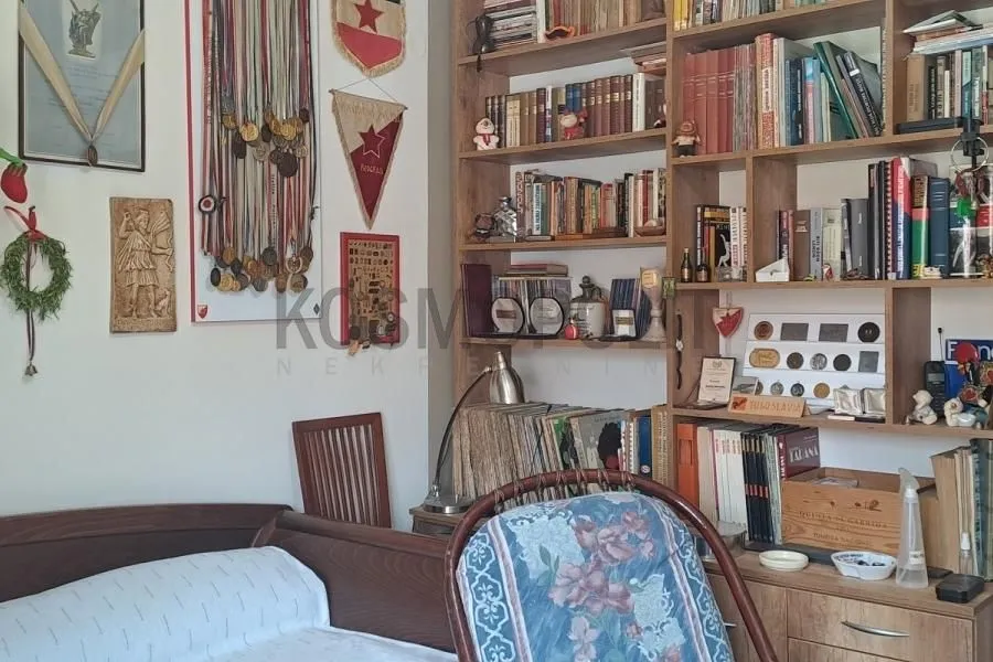 Spavaća soba sa krevetom, velikim policama za knjige i ukrasnim detaljima na zidu.