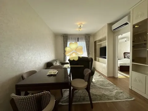 Izdavanje, jednosoban stan, 50m², Podgorica, Crna Gora - image 4